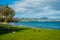 Close up of the Pacific black ducks or grey ducks sleeping at the grass at Lake Taupo, North Island of New Zealand