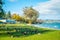 Close up of the Pacific black ducks or grey ducks sleeping at the grass at Lake Taupo, North Island of New Zealand