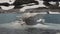 Close up of a pack of floating ice in a beautiful blue lake in the Austrian Alps, Uttendorf Weissee