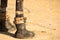 Close up of the padded feet of a camel wearing musical bells standing on desert sand