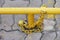 Close up of the padlock and iron chain painted in yellow old condition on the floor
