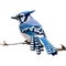 A close-up painting of a blue jay bird. Ai-generated.