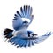 A close-up painting of a blue jay bird. Ai-generated.