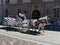 A close up of a pair of horses pulling a tourist carriage on a summer day in the middle of Krakow