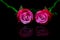 Close up of a pair of pink roses on reflective surface