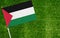 Close-up of Palestine flag against closed up view of grass