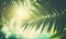 a close up of a palm leaf with the sun shining through the leaves in the backround of the picture, with a blurry background of