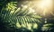a close up of a palm leaf with the sun shining through the leaves in the backround of the picture, with a blurry background of