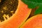 Close up of papaya fruit