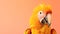 A close up of a parrot on a pink background, on peach fuzz background.