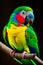 Close up of Parrot. Scarlet Macaw Parrot. Generated AI