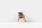 close-up partial view of person holding tiny potted houseplant in hands on white