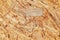 Close up of particleboard background texture surface pressed wood