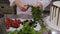 Close-up of a pastry chef decorating a cake with strawberries and mint.