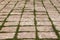 Close-up paving slabs pattern with a sprouted grass