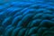 Close-up of the  peacock feathers .Macro blue feather, Feather, Bird, Animal. Macro photograph