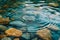 A close-up of a pebble creating ripples on the surface of water.