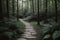 Close-up of a pebble path leading through a forest