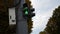 Close-up pedestrian traffic light. Two traffic lights turn red and turn green. Countdown seconds. City life real time. City street