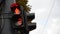 Close-up pedestrian traffic light. Two traffic lights turn red and turn green. Countdown seconds. City life real time. City street