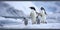 A close-up of penguins waddling on ice, their fluffy chicks in tow , concept of Antarctic wildlife