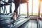 Close up of people who exercising on treadmill. Close-up of woman legs walking by treadmill in sports club. Fitness and Body