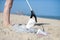 Close Up Of Person Collecting Plastic Waste From Polluted Beach