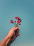 Close up person hand holding a bunch of brier berries over a clear blue sky background. Man arm with rosehip twigs and red ripe