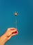 Close up person hand holding a dry thistle thorn plant over a clear blue sky background. Spiny starthistle in man arm. Fall season