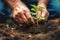 A close up of a person holding a plant. Generative AI image. Planting trees for green sustainable future.