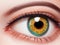 A close-up of a person\\\'s eye, a hyperrealistic painting.