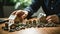 Close-up Of Person\\\'s Hand and Miniature House On Table