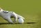Close-up of a person\'s hand putting a golf ball near a hole