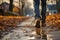 Close-up of a persons feet walking on a winding road - stock photography concepts