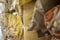 Close- up perspective view of yellow, beige and warm toned pillows and blankets for sale