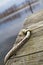 Close-up Perspective of Weathered Dock and Frayed Mooring Rope at Tranquil Lake
