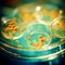 Close-up of petri dish with bacterial colonies Action Scene. Petri dish showing bacterial growth Background. Generative AI