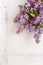 Close-up photo of Beautiful purple lilac branches. Wedding, engagement or betrothal concept on white paper background. Top view,