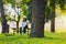 Close up photo of a beautiful volunteer girl sitting alone on a bench near a tree and resting outdoors wearing black and