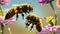 A close-up photo of a bee on a flower, its fuzzy body dusted with pollen