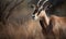 close up photo of blesbok in its natural habitat. Generative AI