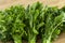 Close up photo of bunch of water cress or garden cress, parsley and arugula.