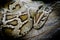 Close-up photo of burmese python (Python molurus bivittatus) iso