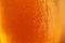 Close-up photo of cold beer poured into a glass
