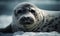 close up photo of crabeater seal in its natural habitat. Generative AI