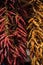 Close up photo of different kinds of dried chili peppers braided and hanged at farmer market