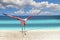 Close up photo of flying flamingo on the beach. There is clear sea and blue sky in the background. It is situated in Bahamas,
