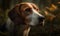 close up photo of foxhound on blurry forest background. Generative AI