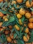Close up photo of fresh Shantang oranges or Jeruk Shantang.