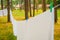 Close up photo of fresh white laundry hanging on a washing rope with clothespin between pine trees outdoor in a summer camp